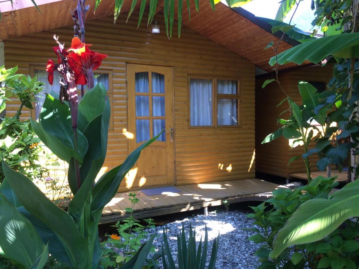 Гостевой Дом У Левы Hotel Gagra Kültér fotó