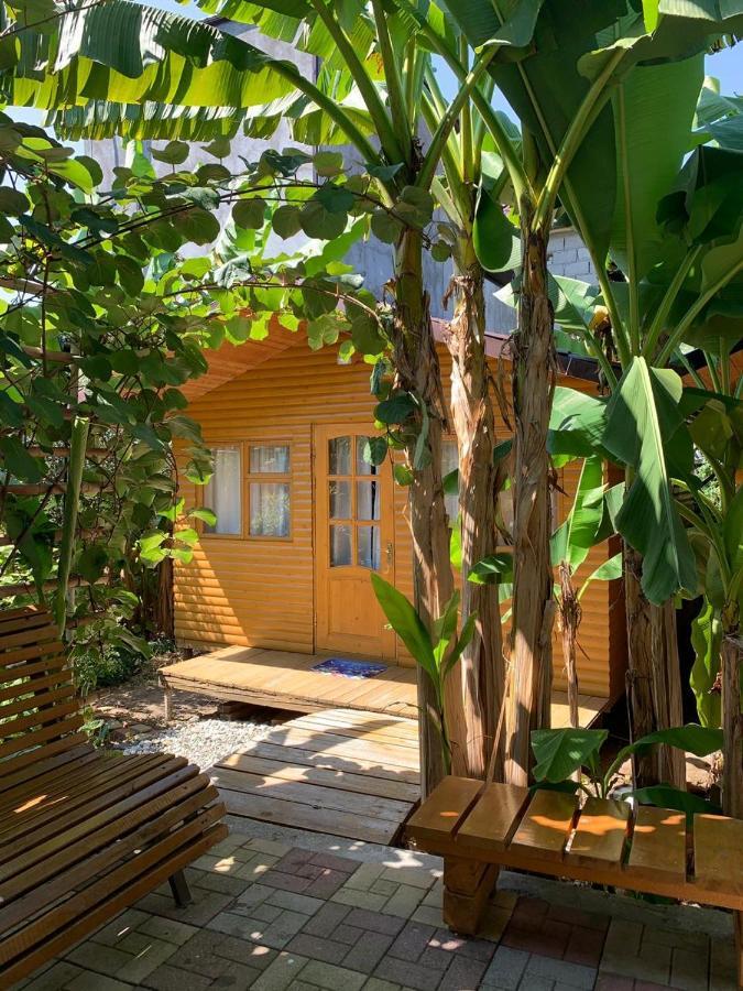 Гостевой Дом У Левы Hotel Gagra Kültér fotó