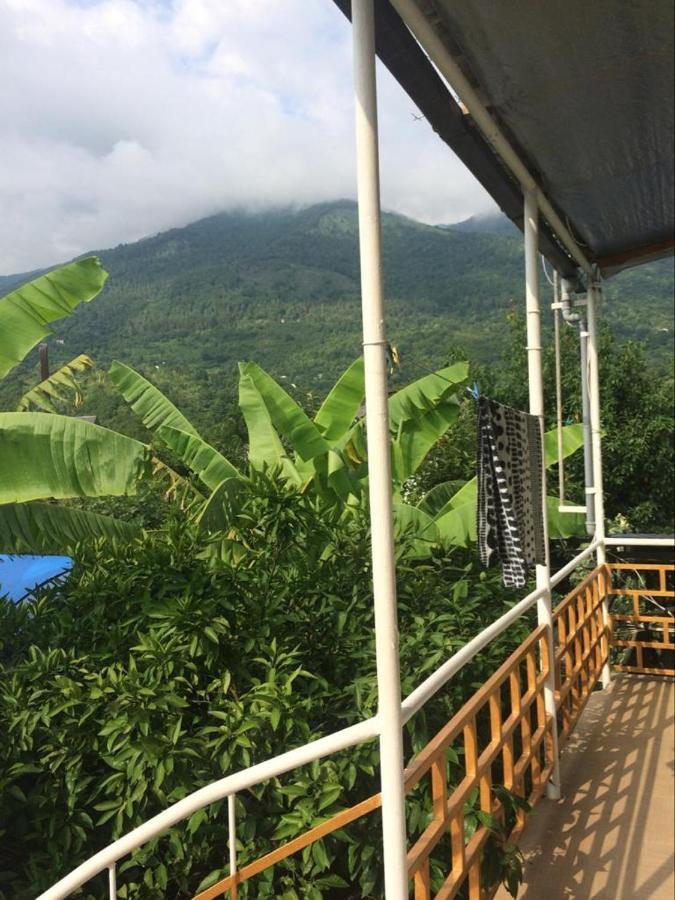 Гостевой Дом У Левы Hotel Gagra Kültér fotó