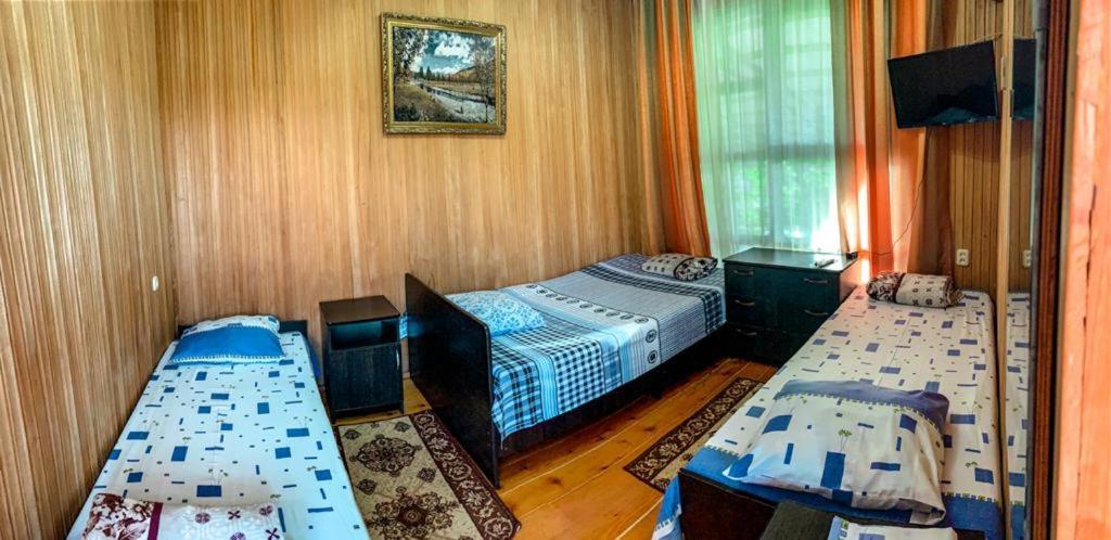 Гостевой Дом У Левы Hotel Gagra Kültér fotó